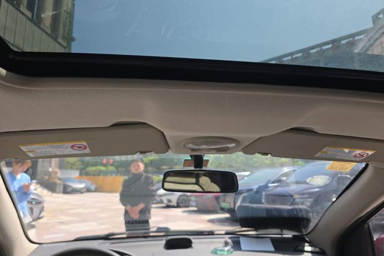Used Chevrolet Lova 2010 1.6MT Dynamic Edition Headliner