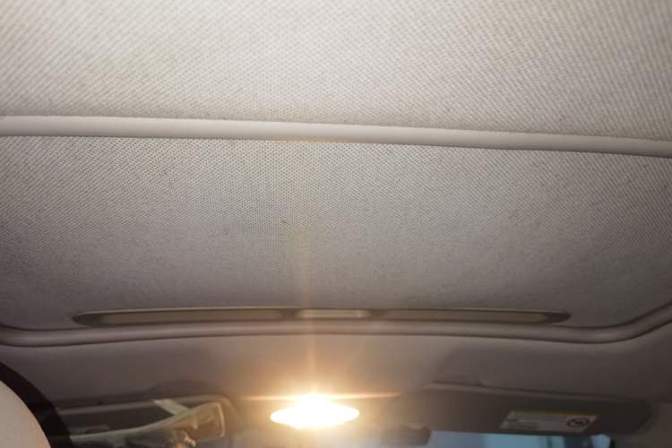 Used Chevrolet Lova 2010 1.6MT Dynamic Edition Headliner