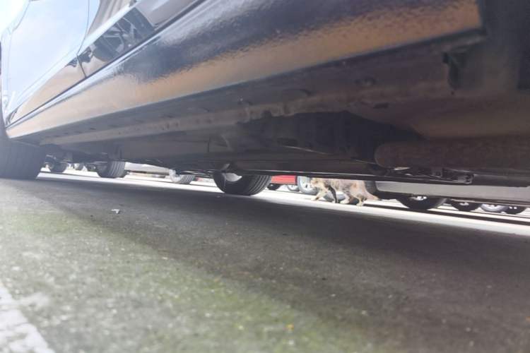 Used Chevrolet Malibu 2014 2.0L Automatic Luxury Edition Left Side Sill