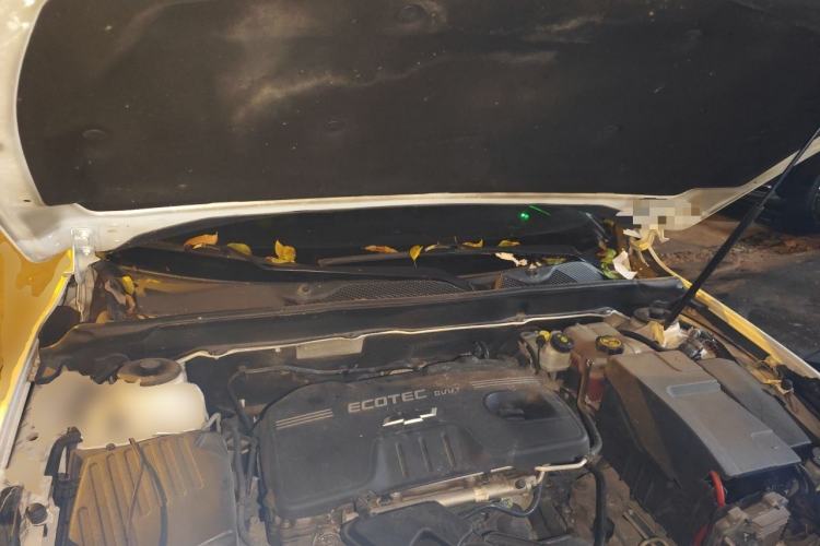 Used Chevrolet Malibu 2014 2.0L Automatic Luxury Edition Engine Bay