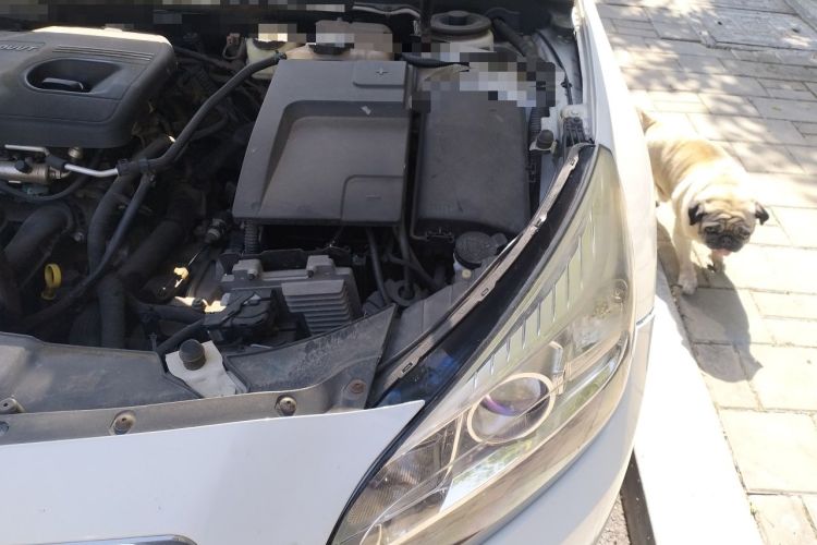 Used Chevrolet Malibu 2014 2.0L Automatic Comfort Edition Engine Bay Left