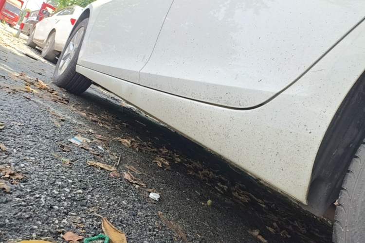 Used Chevrolet Malibu 2014 2.0L Automatic Luxury Edition Left Side Sill