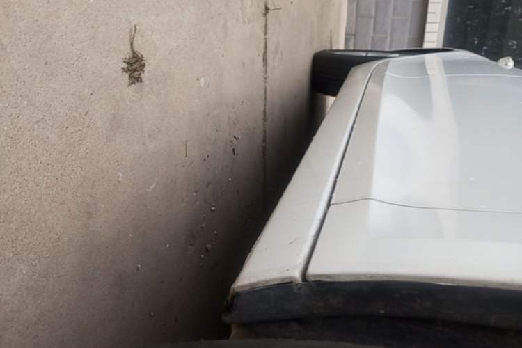 Used Chevrolet Malibu 2014 2.0L Automatic Comfort Edition Right Side Sill