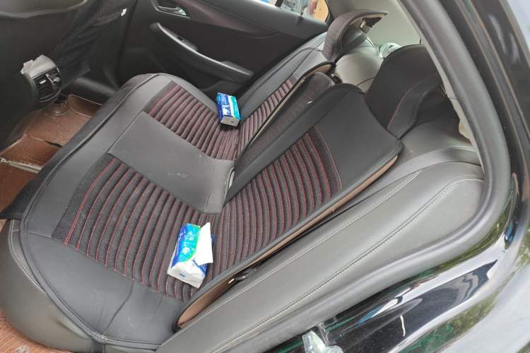 Used Chevrolet Malibu 2017 1.5T Automatic Luxury Edition Left Rear Seat