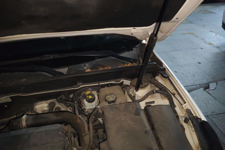Used Chevrolet Malibu 2017 1.5T Automatic Luxury Edition Engine Bay Left