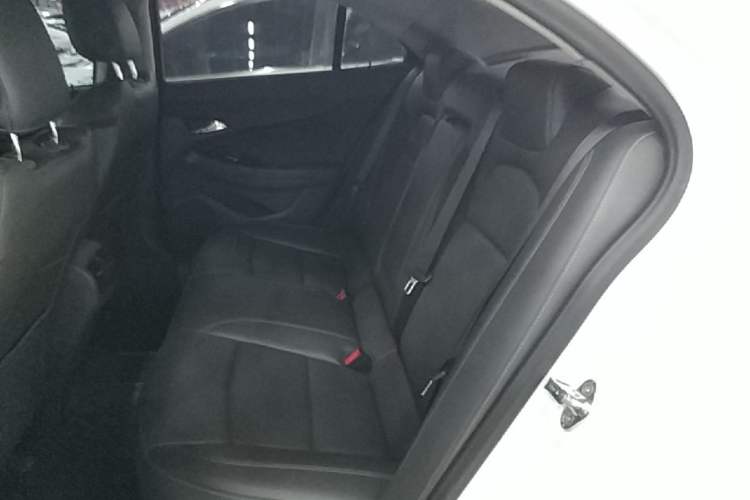 Used Chevrolet Malibu 2017 1.5T Automatic Luxury Edition Left Rear Seat