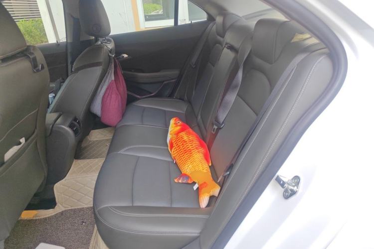 Used Chevrolet Malibu 2017 1.5T Automatic Luxury Edition Left Rear Seat