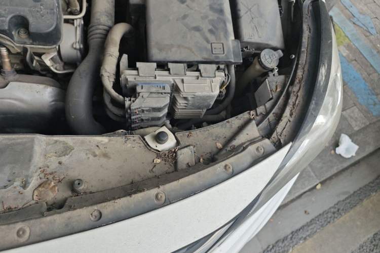 Used Chevrolet Malibu 2018 530T Automatic Fashion Edition Engine Bay Left
