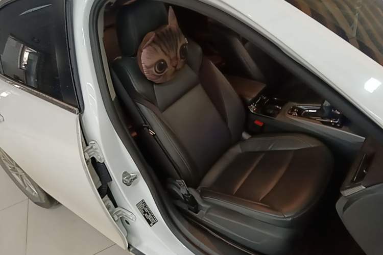 Used Chevrolet Malibu 2018 530T Automatic Fashion Edition Right Front Seat