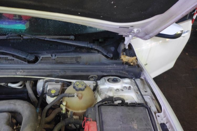 Used Chevrolet Malibu XL 2016 1.5T Dual-Clutch Ruichi Edition Engine Bay Left