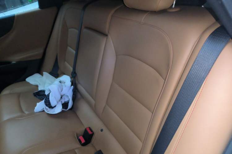 Used Chevrolet Malibu XL 2016 1.5T Dual-Clutch Ruichi Edition Left Rear Seat