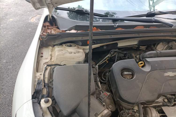 Used Chevrolet Malibu XL 2018 530T Automatic RuiChi Edition Engine Bay Right