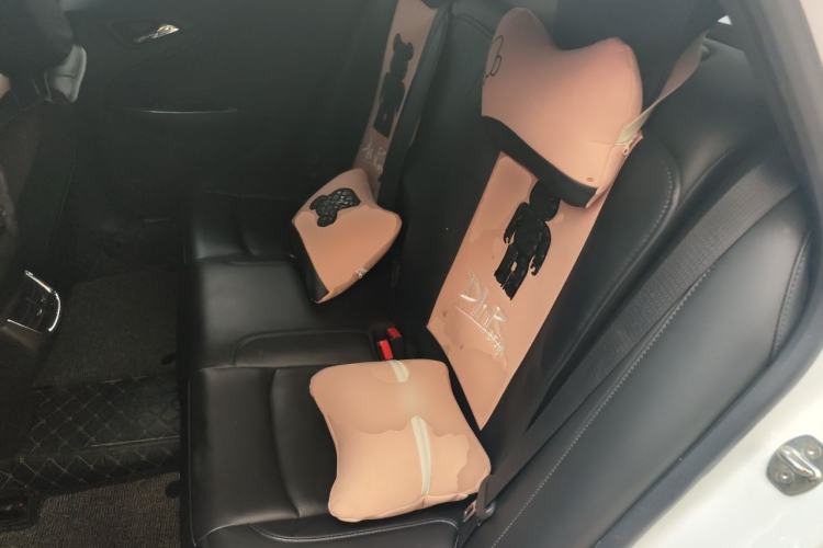 Used Chevrolet Malibu XL 2018 530T Automatic RuiChi Edition Left Rear Seat