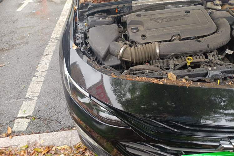 Used Chevrolet Malibu XL 2019 Redline 550T Automatic Sport Edition Engine Bay Right