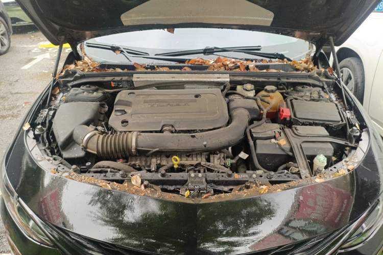 Used Chevrolet Malibu XL 2019 Redline 550T Automatic Sport Edition Engine Bay