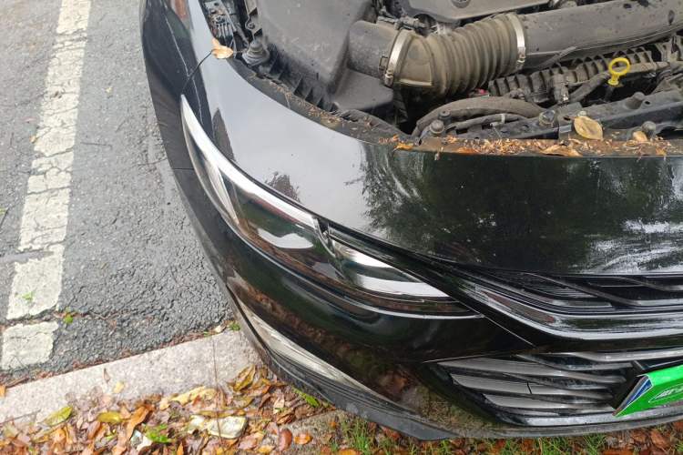 Used Chevrolet Malibu XL 2019 Redline 550T Automatic Sport Edition Right Front Headlight