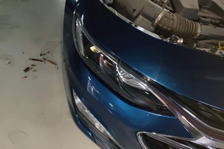 Used Chevrolet Malibu XL 2019 535T CVT Active Version Right Front Headlight