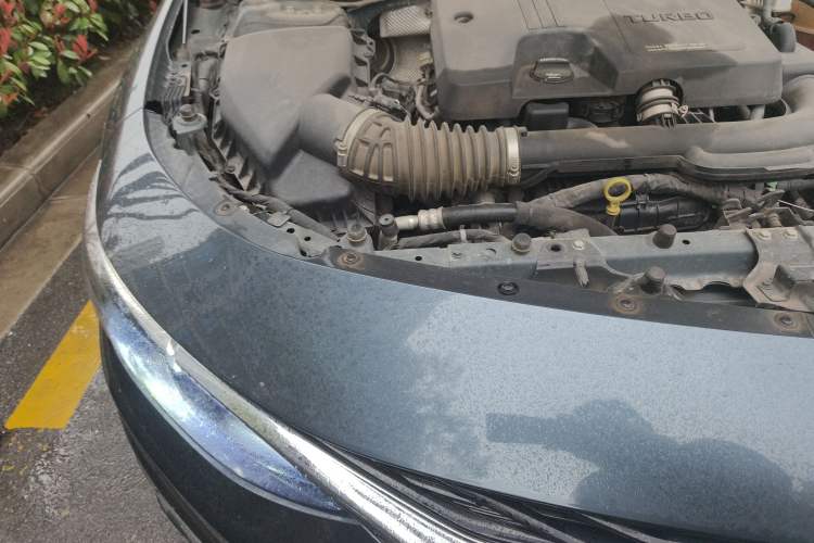 Used Chevrolet Malibu XL 2019 535T CVT Active Version Right Front Headlight