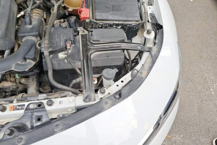 Used Chevrolet Malibu XL 2019 535T CVT Active Version Engine Bay Left