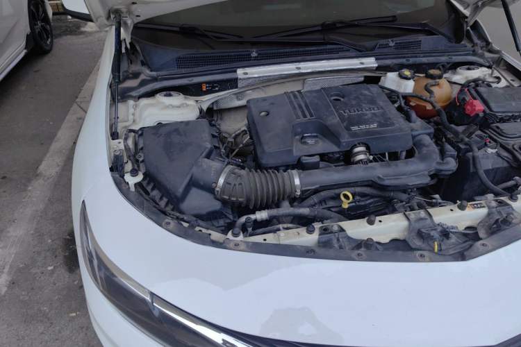 Used Chevrolet Malibu XL 2019 535T CVT Active Version Engine Bay Right