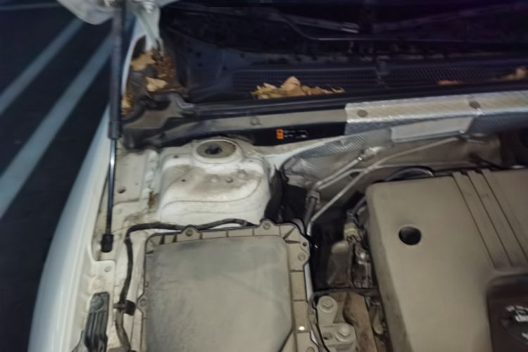 Used Chevrolet Malibu XL 2019 535T CVT Active Version Engine Bay Right