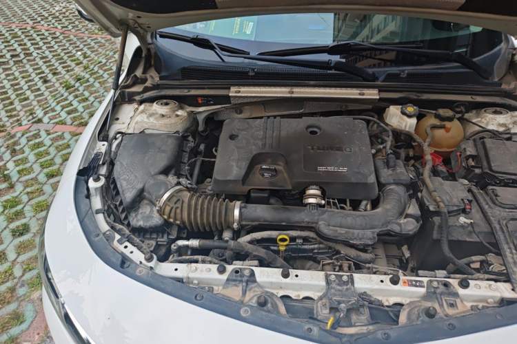 Used Chevrolet Malibu XL 2019 535T CVT Active Version Engine Bay Right