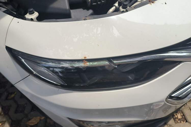 Used Chevrolet Malibu XL 2019 535T CVT Active Version Right Front Headlight
