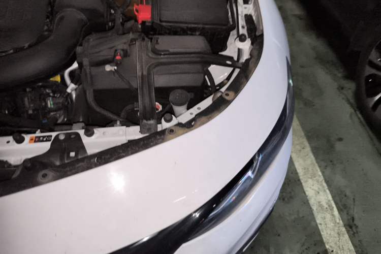 Used Chevrolet Malibu XL 2020 Redline 550T Automatic RuiLian Edition Engine Bay Left