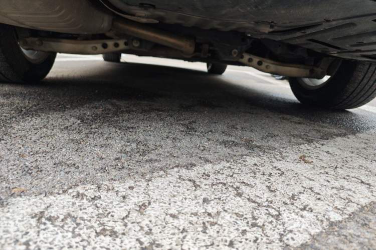 Used Chevrolet Malibu XL 2022 535T Automatic Sport Edition Chassis Rear