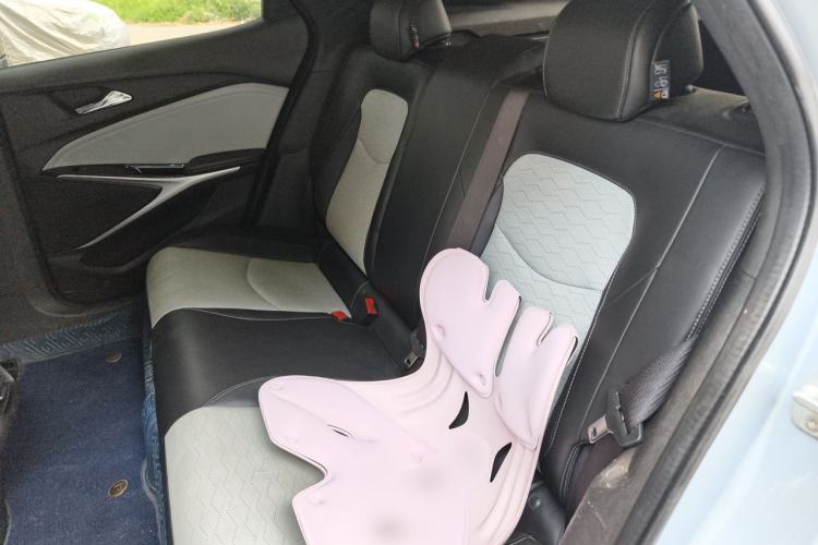 Used Chevrolet Menlo 2020 Starry Edition Left Rear Seat