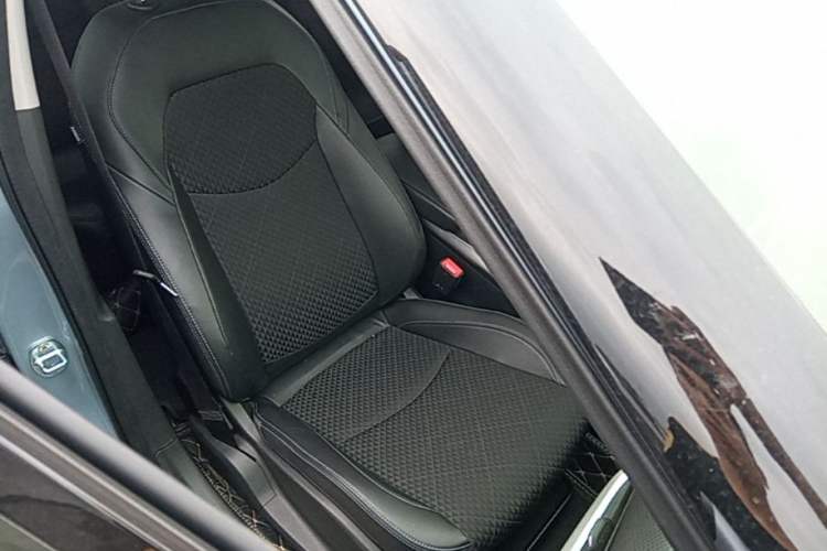 Used Chevrolet Menlo 2020 Starry Edition Right Front Seat