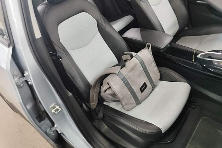 Used Chevrolet Menlo 2020 Starry Edition Right Front Seat