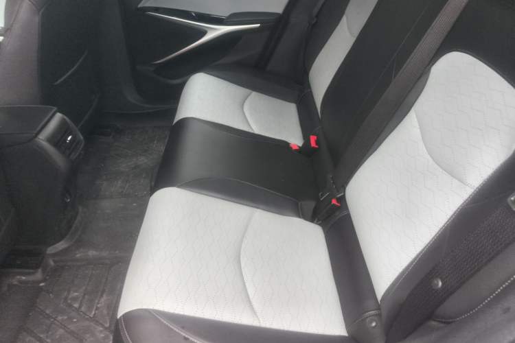 Used Chevrolet Menlo 2020 Starry Edition Left Rear Seat
