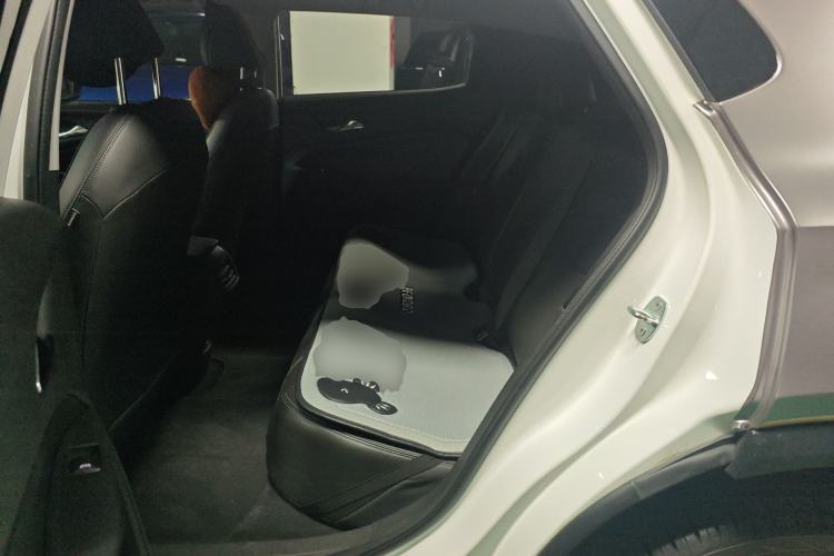 Used Chevrolet Menlo 2020 Star Edition Left Rear Seat