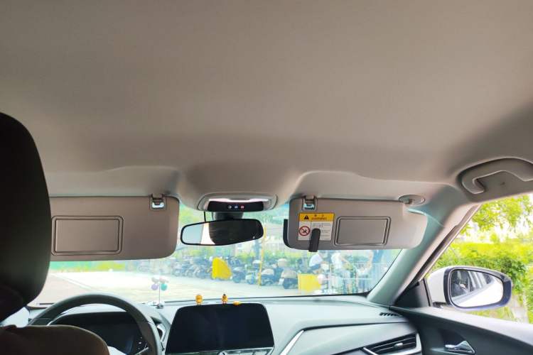 Used Chevrolet Menlo 2021 Star Enjoy Edition Headliner