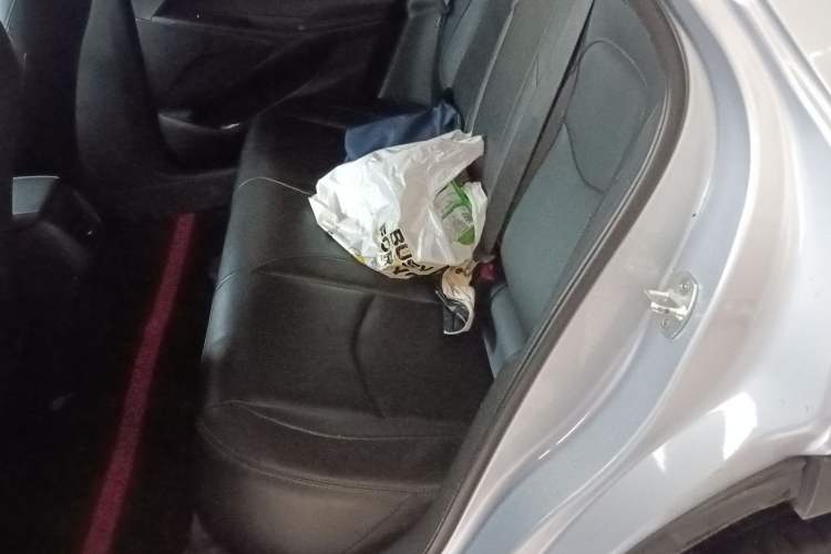 Used Chevrolet Menlo 2022 Star Enjoyment Edition Plus Left Rear Seat