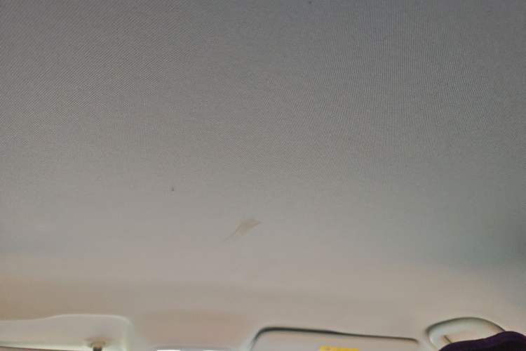 Used Chevrolet Menlo 2022 Star Enjoyment Edition Headliner