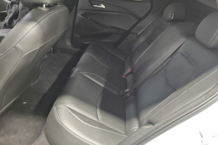 Used Chevrolet Menlo 2022 Star Enjoyment Edition Plus Left Rear Seat