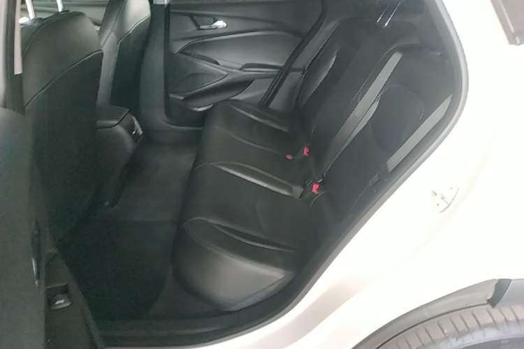 Used Chevrolet Menlo 2022 Star Enjoyment Edition Plus Left Rear Seat