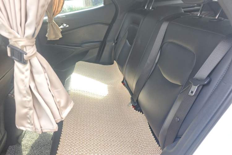 Used Chevrolet Menlo 2022 Star Enjoyment Edition Plus Left Rear Seat