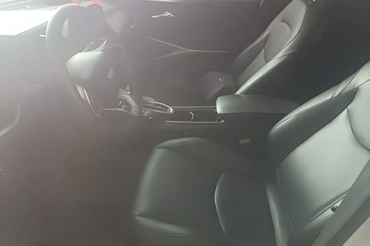 Used Chevrolet Menlo 2023 Star Enjoy Edition Left Front Seat