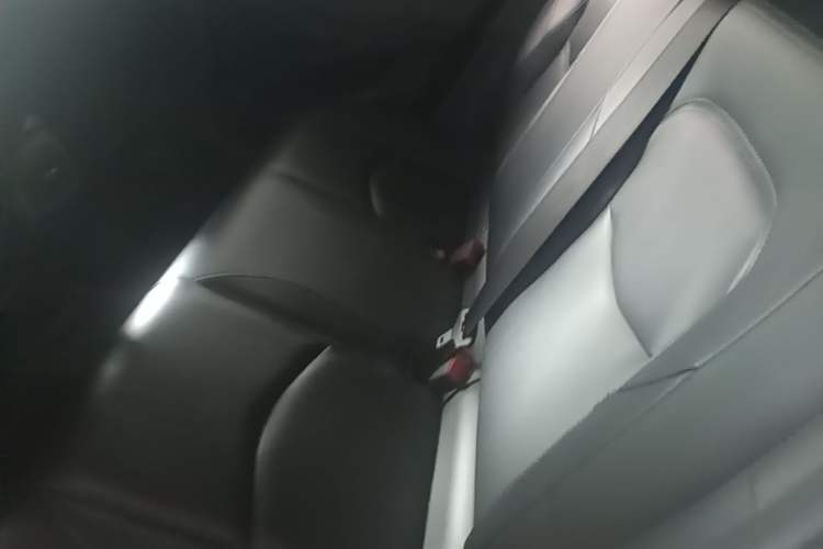 Used Chevrolet Menlo 2023 Star Enjoy Edition Left Rear Seat