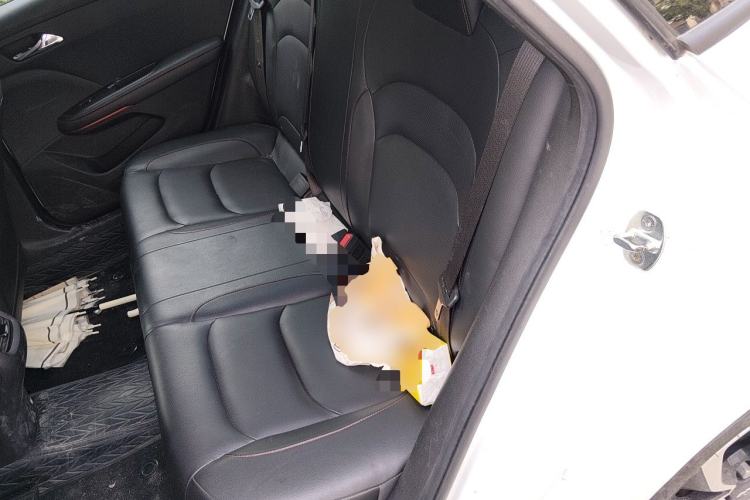 Used Chevrolet Monza 2019 RS 330T Automatic Comfort Edition China VI Standard Left Rear Seat