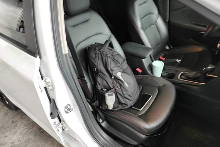 Used Chevrolet Monza 2019 Redline 320T Dual-Clutch Sporty Version China VI Standard Right Front Seat