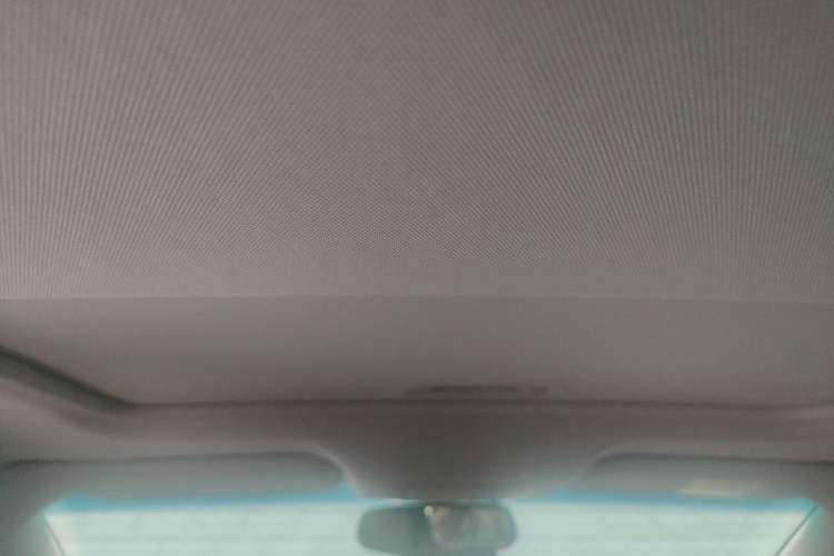 Used Chevrolet Monza 2020 320 Automatic Enjoyment Edition Headliner