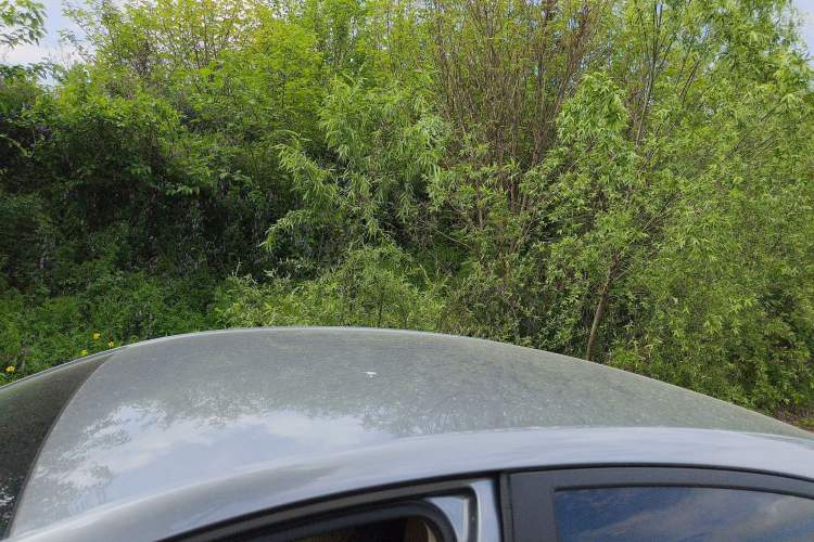 Used Chevrolet Monza 2020 320 Automatic Enjoyment Edition Roof