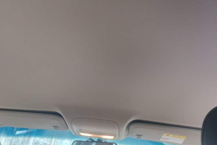 Used Chevrolet Monza 2020 320 Automatic Enjoyment Edition Headliner