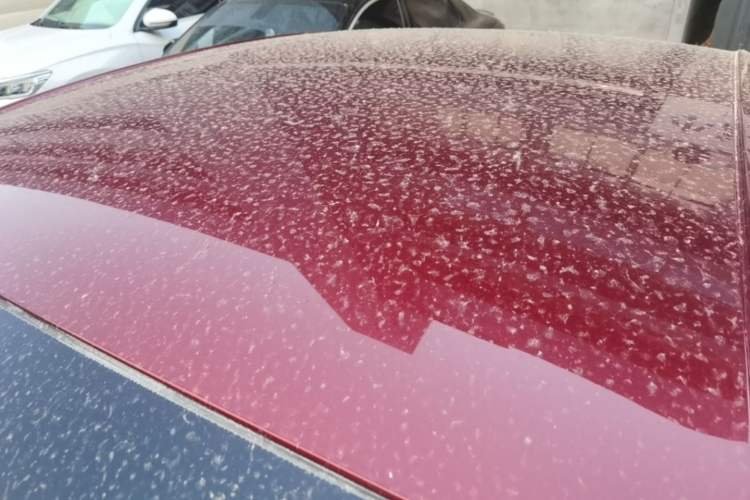 Used Chevrolet Monza 2020 320 Automatic Enjoyment Edition Roof
