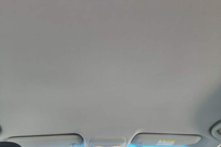 Used Chevrolet Monza 2020 320 Automatic Enjoyment Edition Headliner