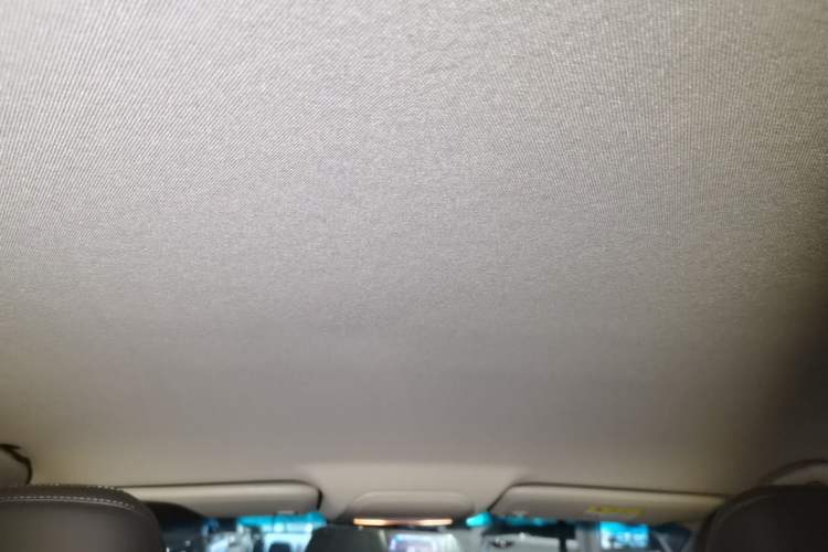 Used Chevrolet Monza 2020 320 Automatic Enjoyment Edition Headliner